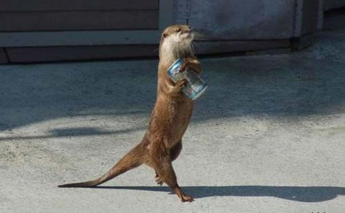 otter recycling can